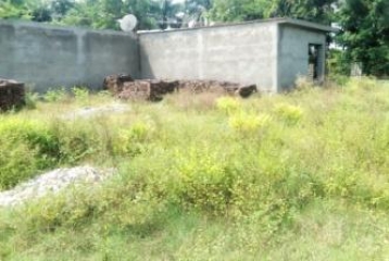 100 Square Yards Residential Plots For Sale At Langha Road Vikasnagar Dehradun 